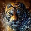 bigant38